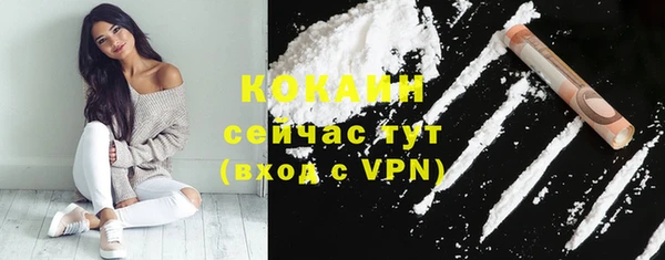 шишки Арсеньев