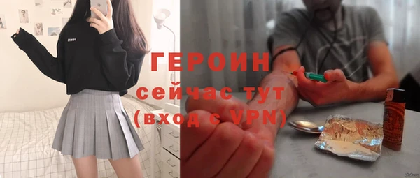 шишки Арсеньев