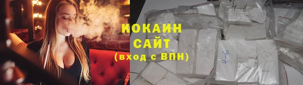 шишки Арсеньев
